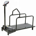 Dog special treadmill pet dog running training equipment